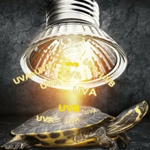 Ampoule UV et Chauffante pour Tortue 25W, 50W et 75W