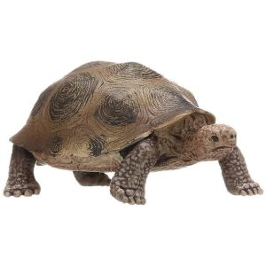 Tortue-en-plastique-hermann-de-8.5cm.jpglossy1ssl1 Tortue Hermann en Plastique de 8.5cm