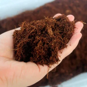 fibre-de-noix-de-coco-pour-tortues-et-autres-reptiles.jpglossy1ssl1 Fibre de Noix de Coco pour Tortues et Autres Reptiles