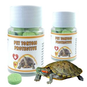 Traitement Pour Tortue d’Eau Domestique – Prévention et Guérison de Maladies