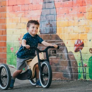 Tricycle 3-en-1 Wishbone Cruise